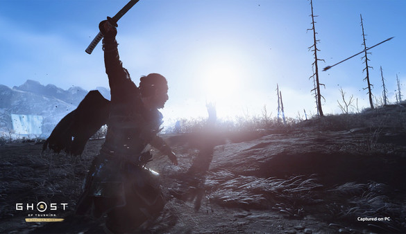 Ghost of Tsushima: Director's Cut screenshot 1